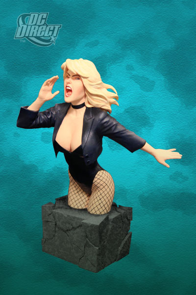 Black Canary Women of the DC Universe Bust from DC Direct